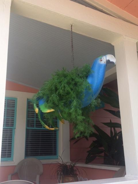 Coronado Palms Coastal Cottageガルベストン エクステリア 写真
